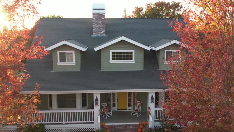 Best Gutter Replacement  in Centereach, NY